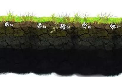 1591954835112295.jpg 圖片7.jpg